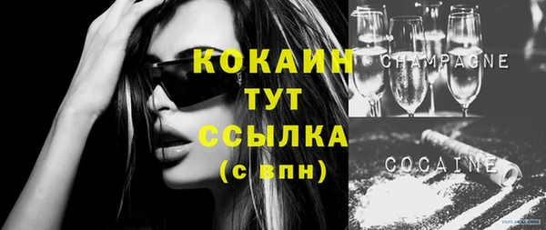 стаф Баксан