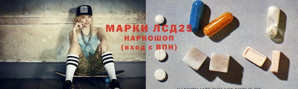 спиды Бородино