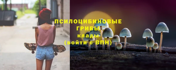 герыч Бронницы