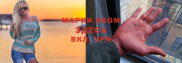 стаф Баксан