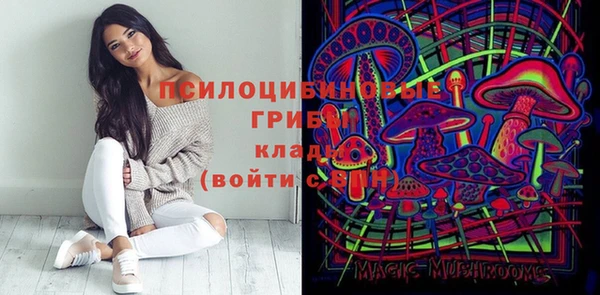 спиды Бородино