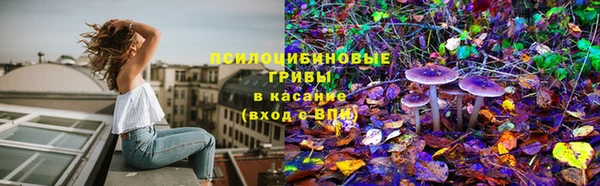 спиды Бородино
