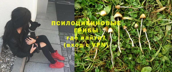 прущий лед Балахна