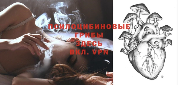 спиды Аркадак